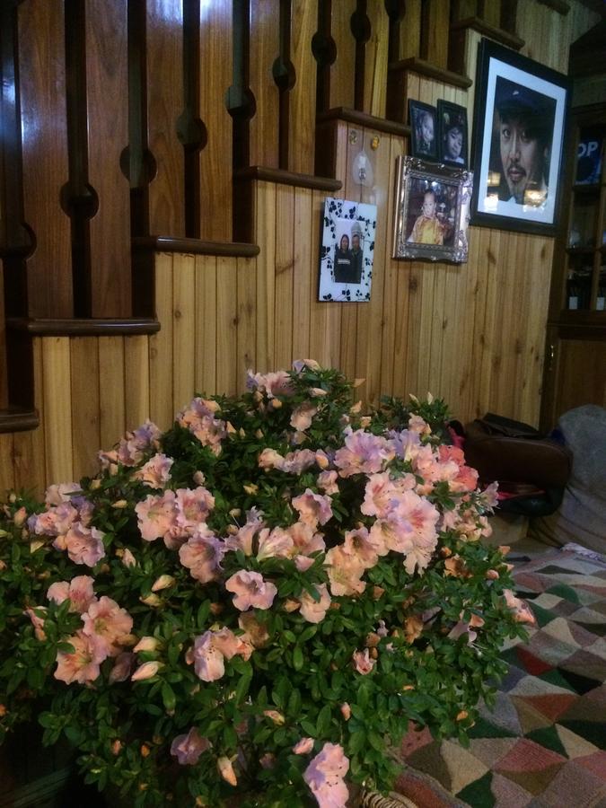 דרג'ילינג Ngawang Homestay מראה חיצוני תמונה